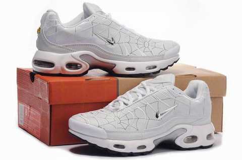 requin avis shox